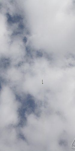 2013 Svojek Mirek Topinka